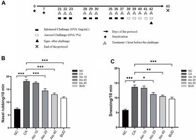 Exploration of the mechanism of aloin ameliorates of combined allergic rhinitis and asthma syndrome based on network pharmacology and experimental validation